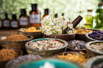 Herbal Medicine: Simple Understanding, Effects, and Patient Recovery by Arogya Electro Herbalcare