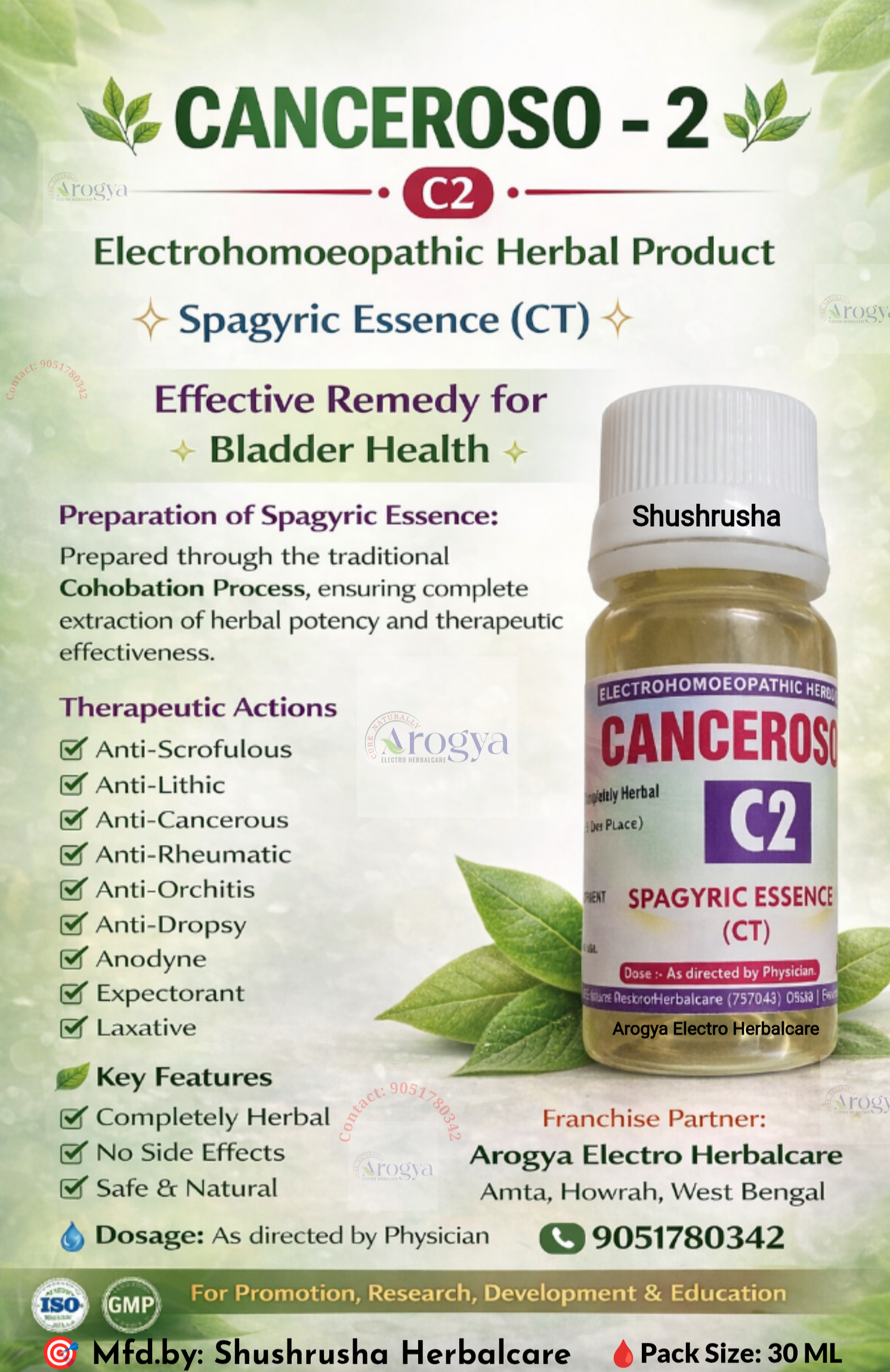 Canceroso-2 (C-2) CT