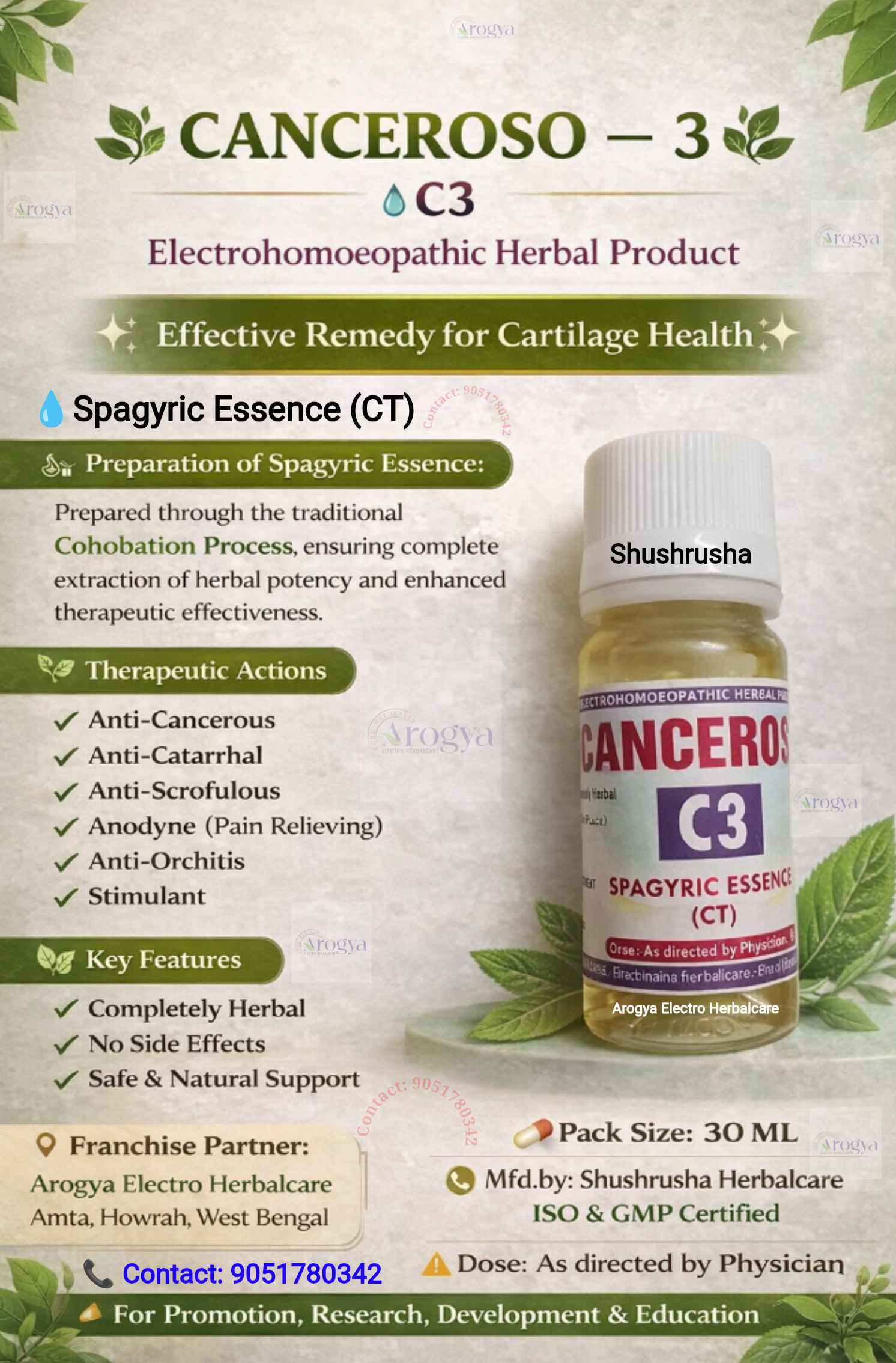 Canceroso-3 (C-3) CT