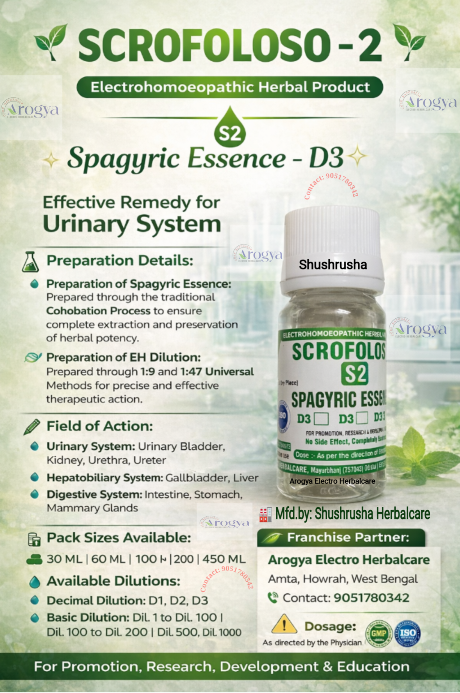 Scrofoloso -2 (S -2)