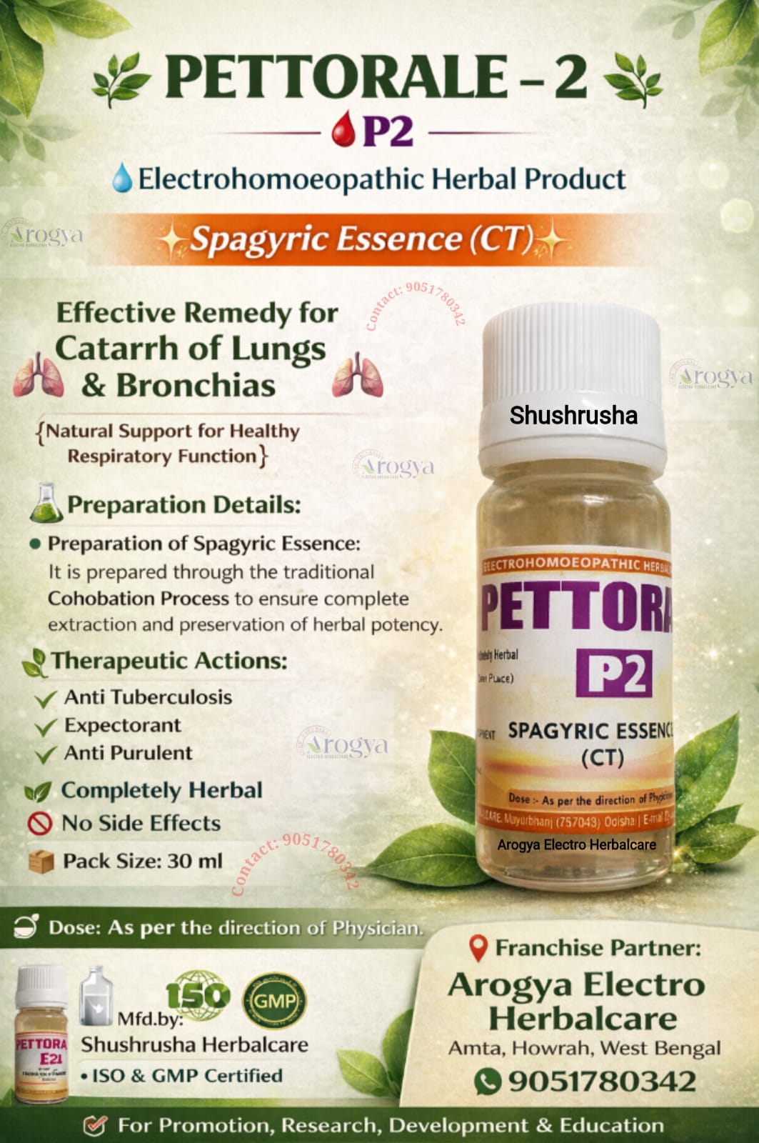 Pettorale-2 (P-2) CT