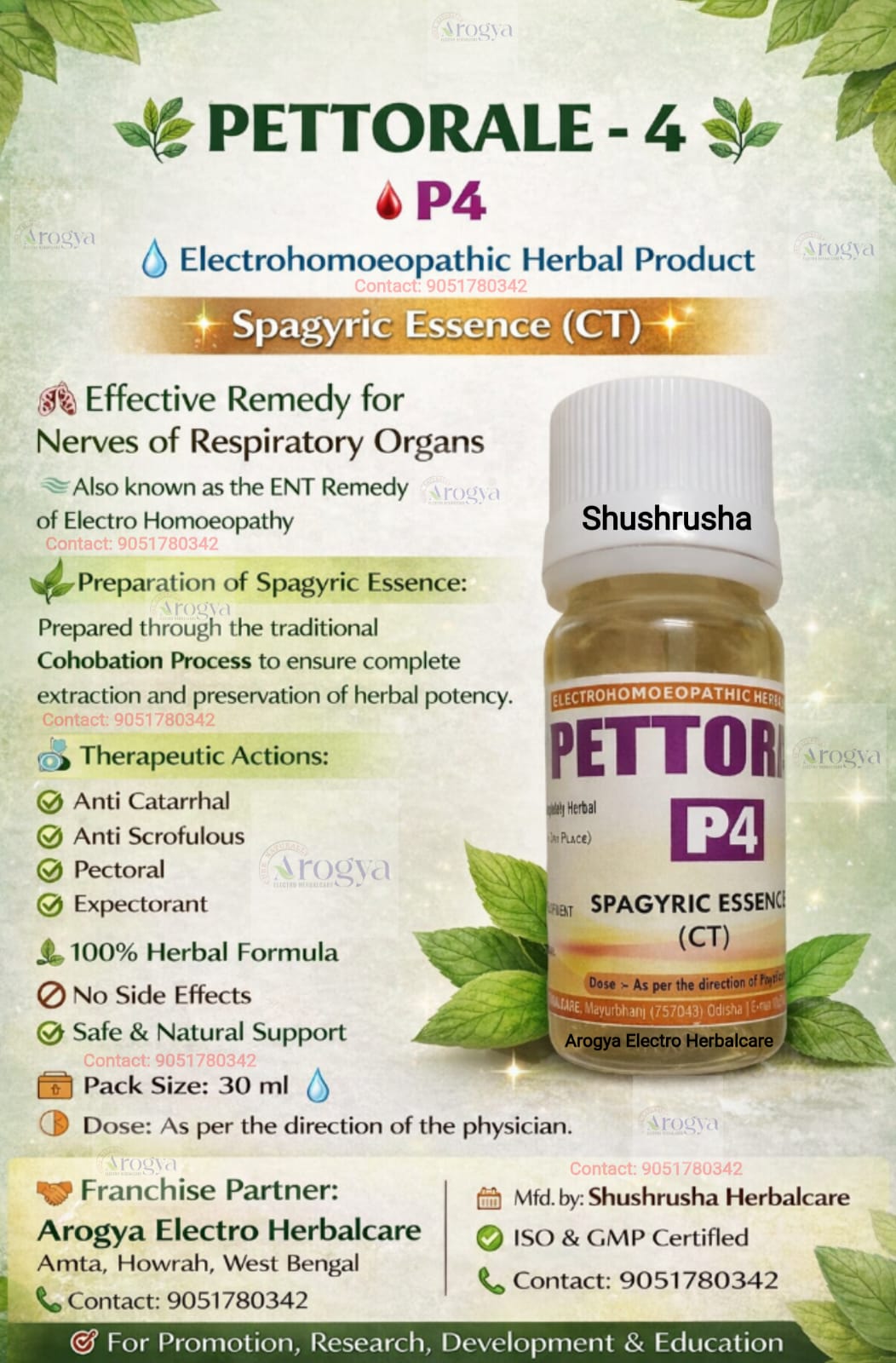 Pettorale-4 (P-4) CT