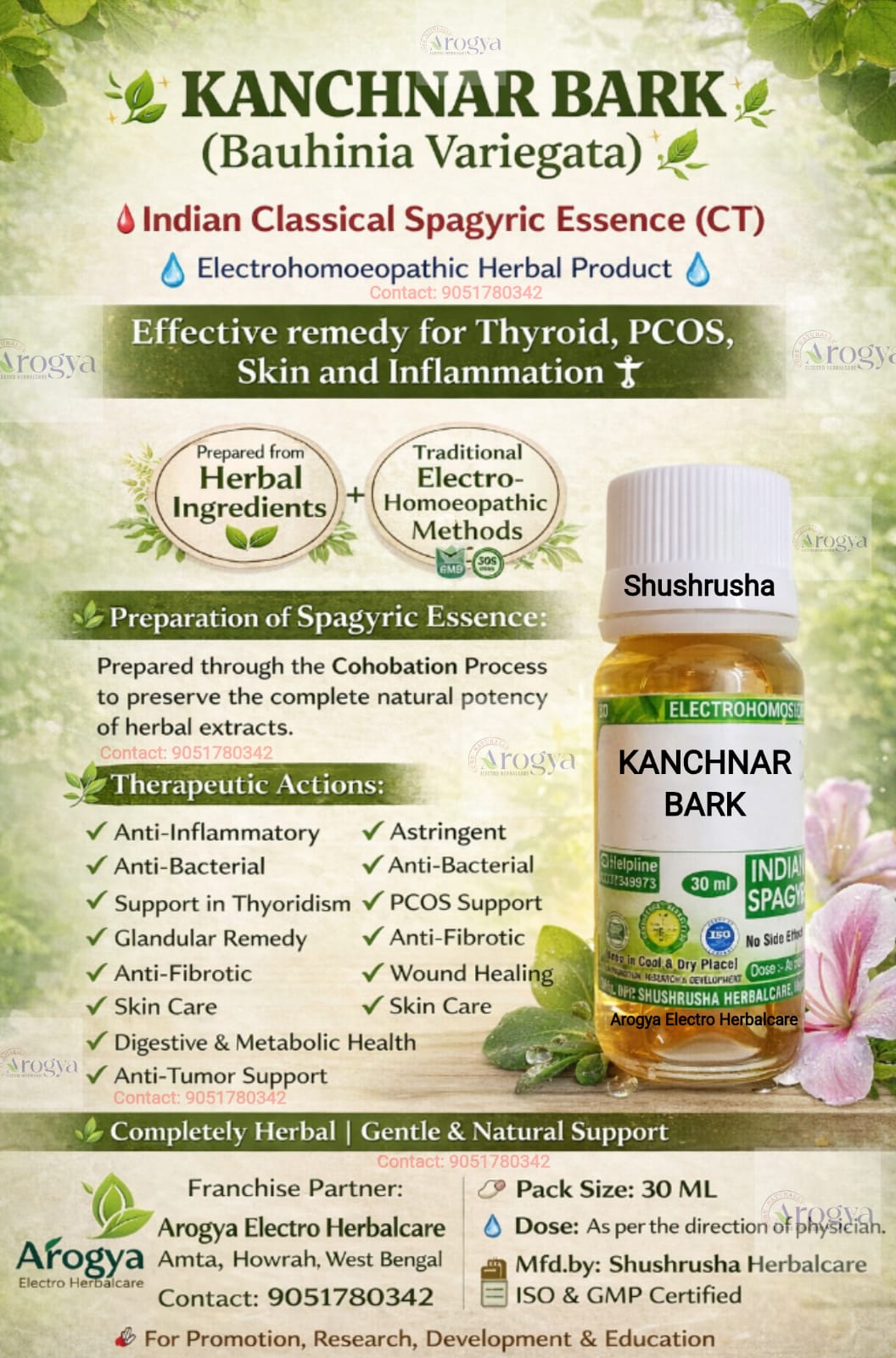 KANCHNAR BARK CT